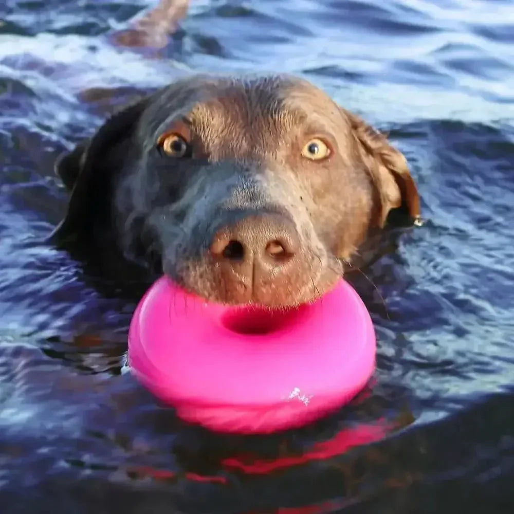 Ruff Dawg, Dawg Nut Tough Dog Chew Toy - Talis Us