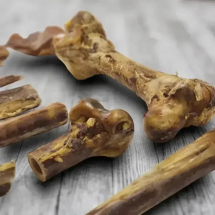 Savannah Ostrich Long Bone Single Ingredient Novel Protein Dog Treat - Talis Us