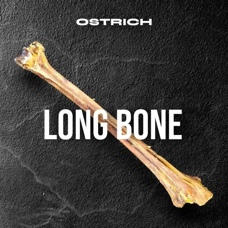 Savannah Ostrich Long Bone Single Ingredient Novel Protein Dog Treat - Talis Us