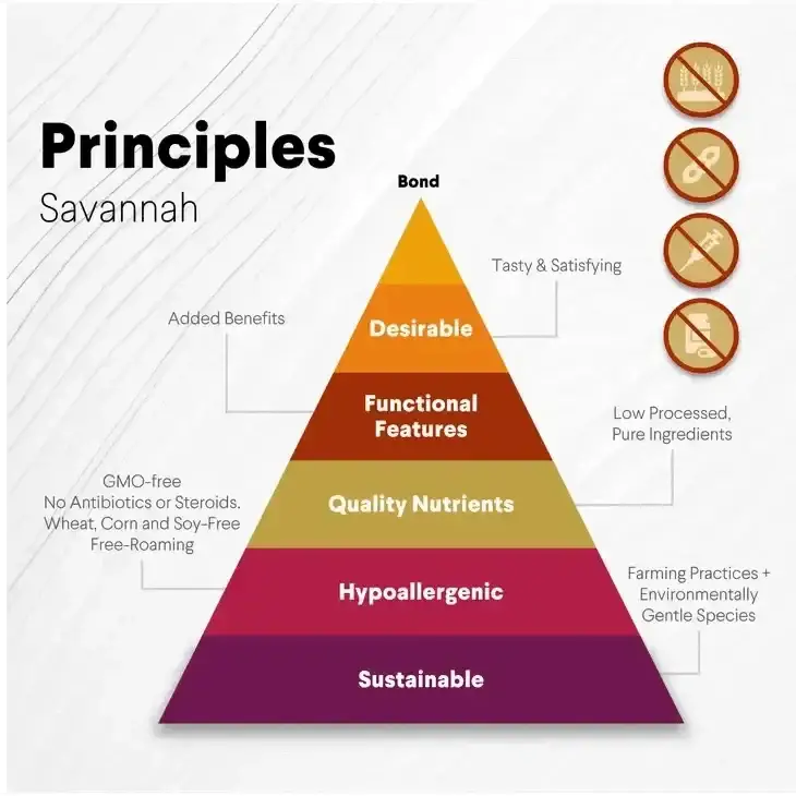 Savannah Ostrich Long Bone Single Ingredient Novel Protein Dog Treat - Talis Us