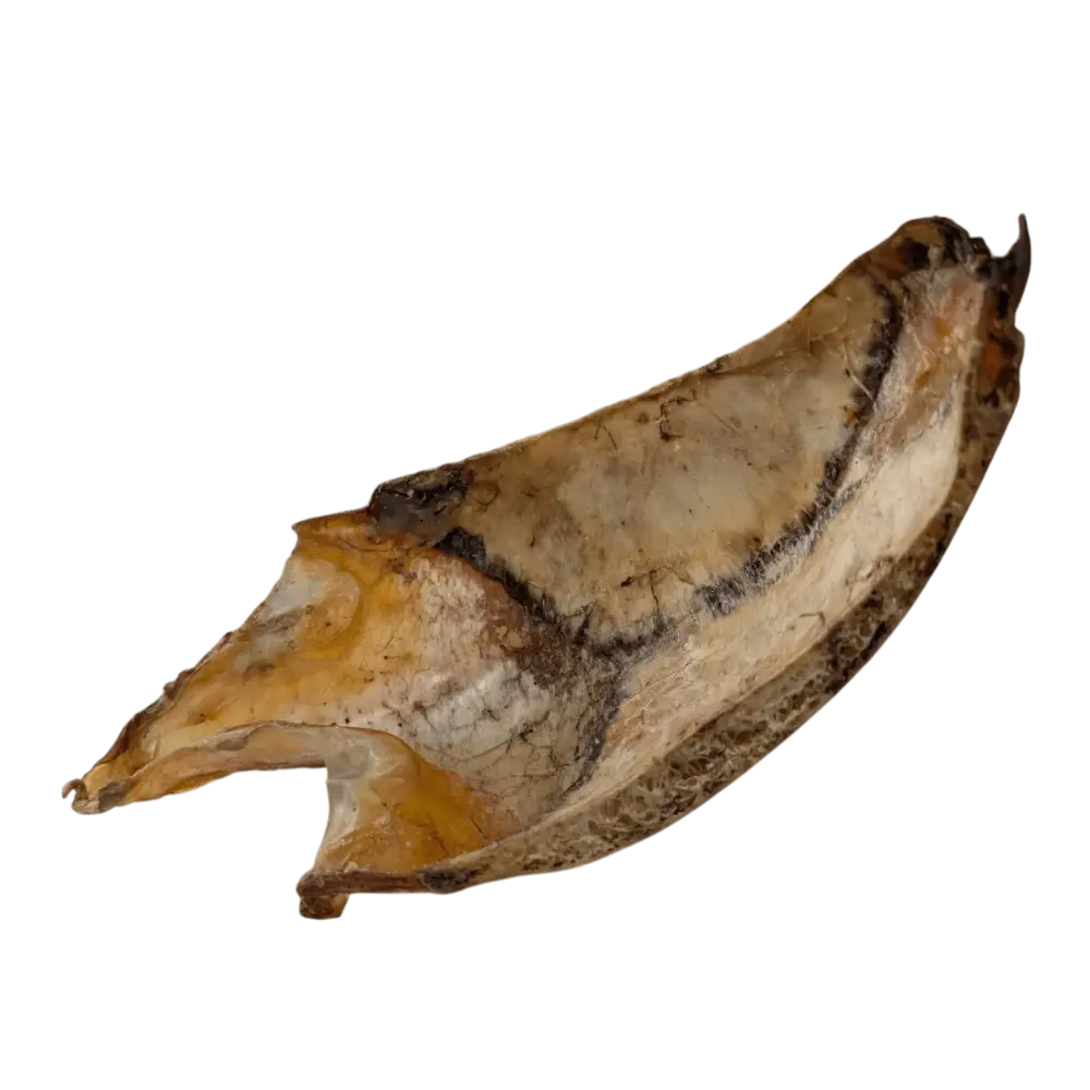 Savannah Pet Chest Bone Treat for dogs, perfect for chewing and promoting dental health