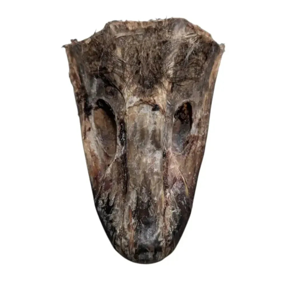 Savannah Pet Food Crunchy Ostrich Beak Dog Treat 2 Pack - Talis Us