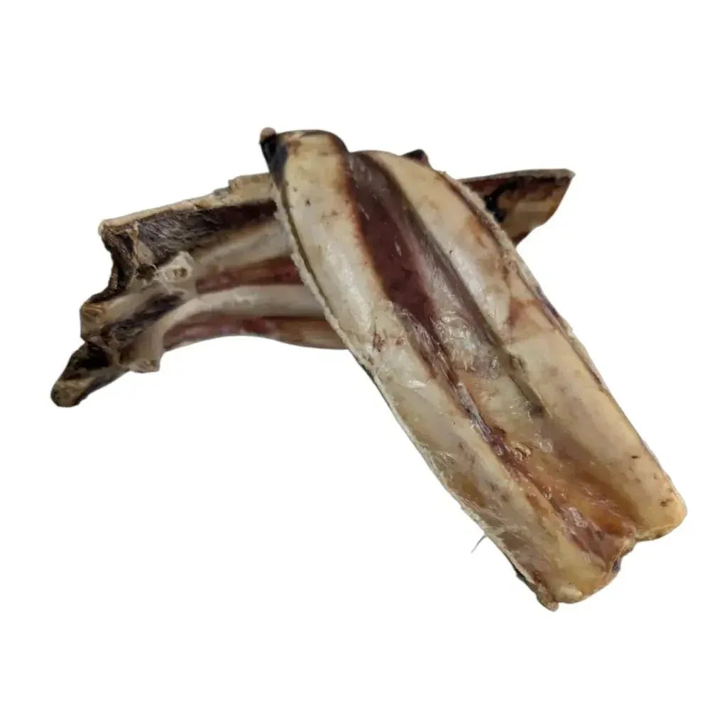 Savannah Pet Food Ostrich Rib Dog Chew Treats 2 Pieces - Talis Us
