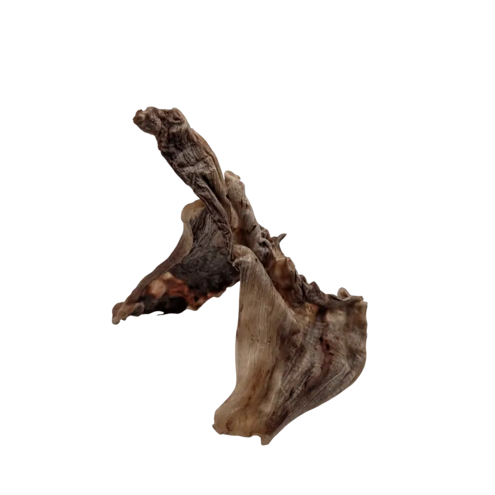 Savannah Pet Food Ostrich Skin Dog Chew for Healthy and Long-Lasting Chewing Enjoyment