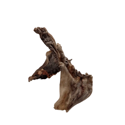 Savannah Pet Food Ostrich Skin Dog Chew for Healthy and Long-Lasting Chewing Enjoyment