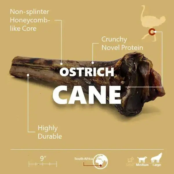 Savannah Splinter - Free Ostrich Cane. Long - lasting, Natural Dog Gnaw Treat - Talis Us