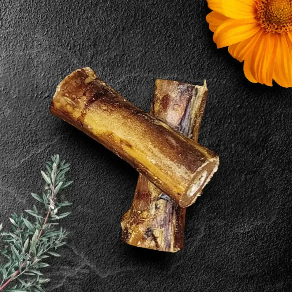 Savannah Splinter - Free Ostrich Chunky Bones. Long - lasting, Natural Dog Gnaw Treat - Talis Us