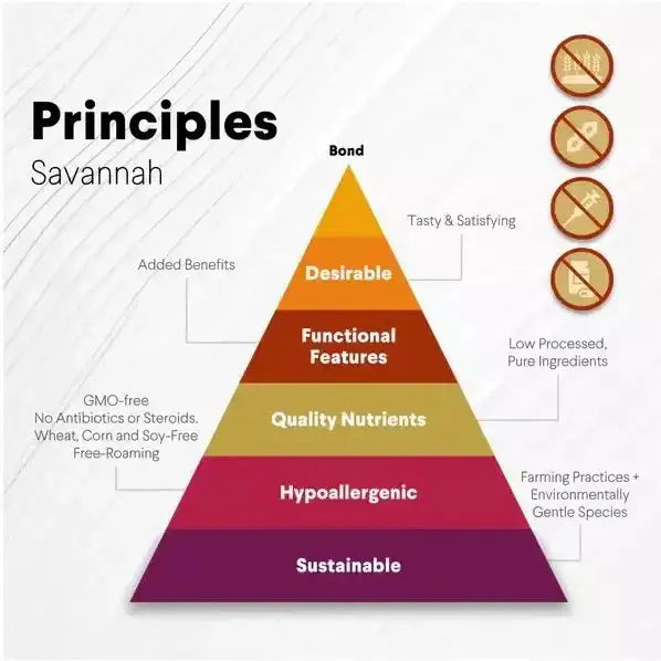 Savannah Splinter - Free Ostrich Chunky Bones. Long - lasting, Natural Dog Gnaw Treat - Talis Us