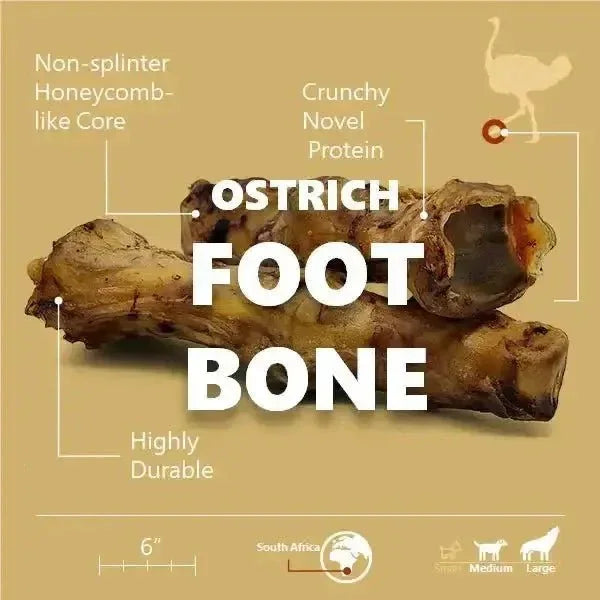 Savannah - Splinter - free Ostrich Foot Bone. Long - lasting, Natural Dog Gnaw Treat - Talis Us
