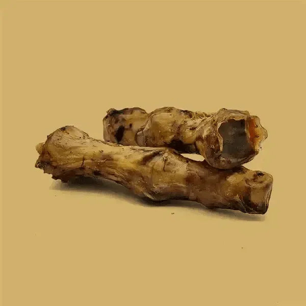 Savannah - Splinter - free Ostrich Foot Bone. Long - lasting, Natural Dog Gnaw Treat - Talis Us