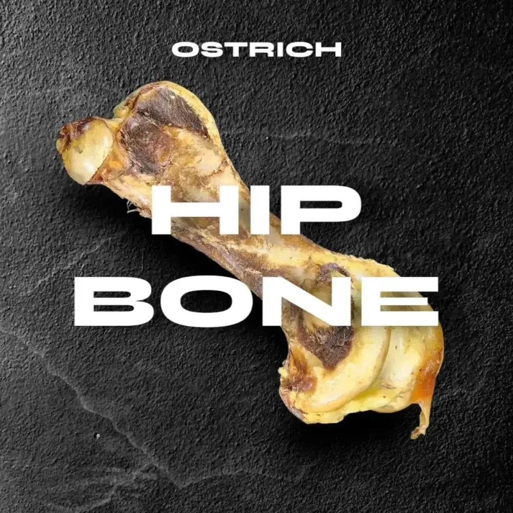 Savannah Splinter - Free Ostrich Hip Bone. Long - lasting, Natural Dog Gnaw Treat - Talis Us