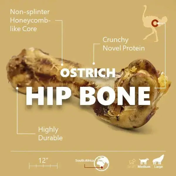 Savannah Splinter - Free Ostrich Hip Bone. Long - lasting, Natural Dog Gnaw Treat - Talis Us