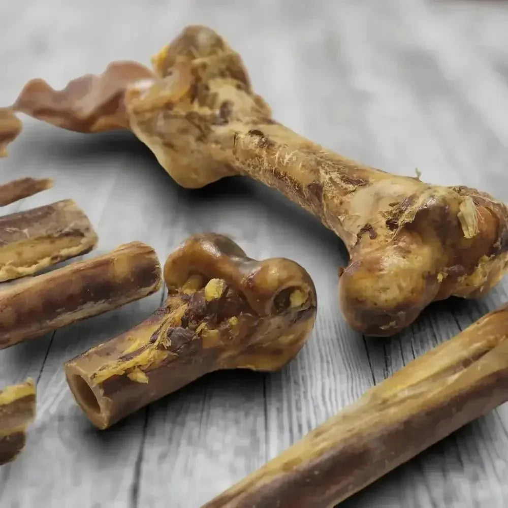 Savannah Splinter - free Ostrich Knuckle. Long - lasting, Natural Dog Gnaw Treat - Talis Us