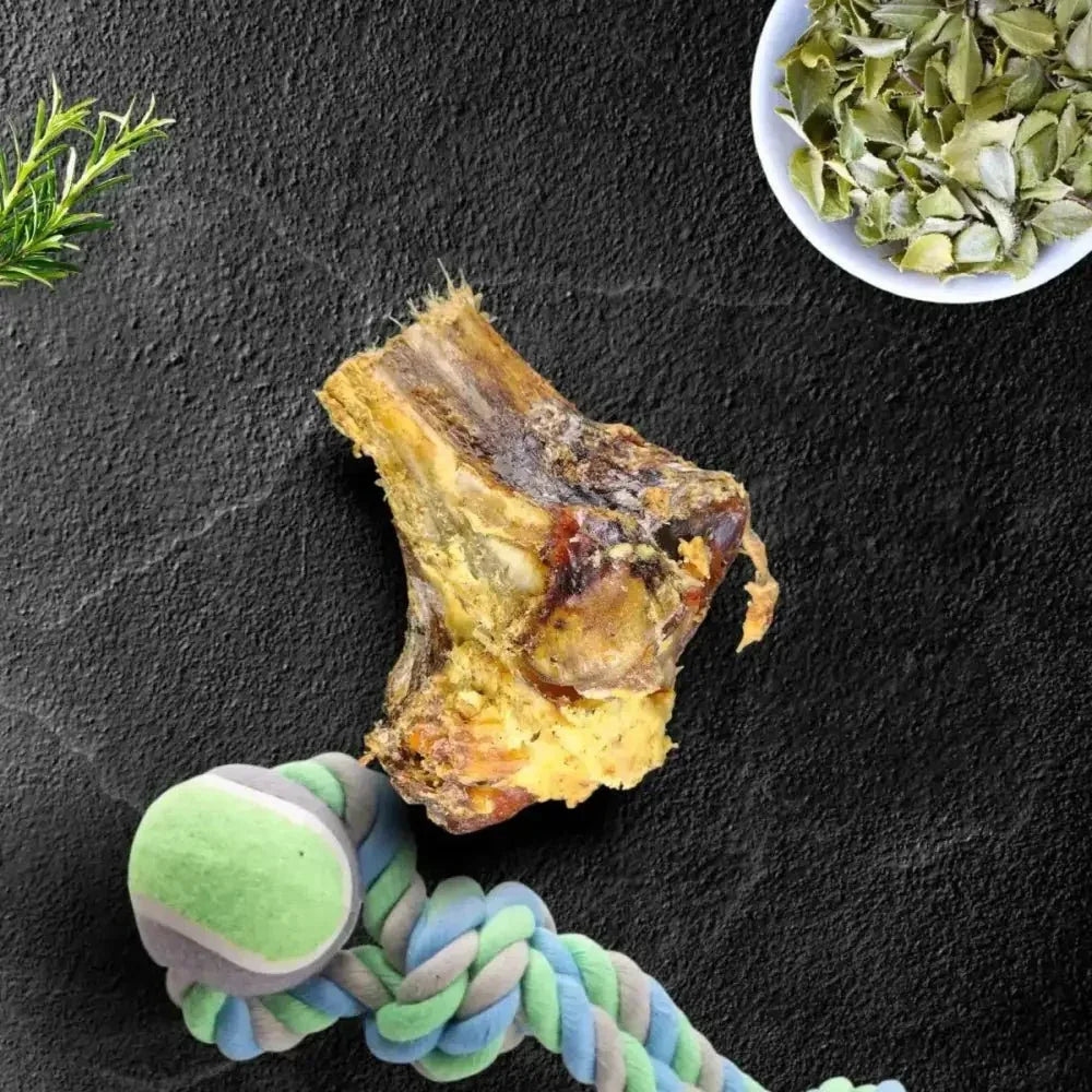 Savannah Splinter - free Ostrich Knuckle. Long - lasting, Natural Dog Gnaw Treat - Talis Us