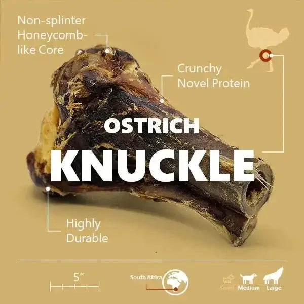 Savannah Splinter - free Ostrich Knuckle. Long - lasting, Natural Dog Gnaw Treat - Talis Us