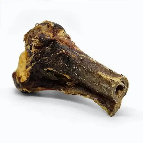 Savannah Splinter - free Ostrich Knuckle. Long - lasting, Natural Dog Gnaw Treat - Talis Us
