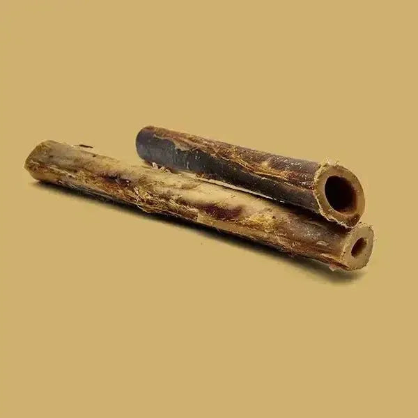 Savannah - Splinter - Free Ostrich Shaft Bone. Long - Lasting, Natural Dog Gnaw Treat - Talis Us