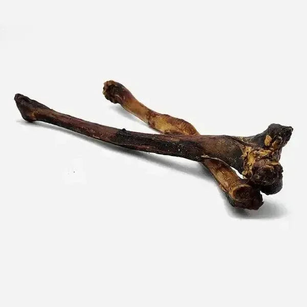 Savannah Splinter - Free Ostrich Wing Bone. Long - lasting, Natural Dog Gnaw Treat - Talis Us