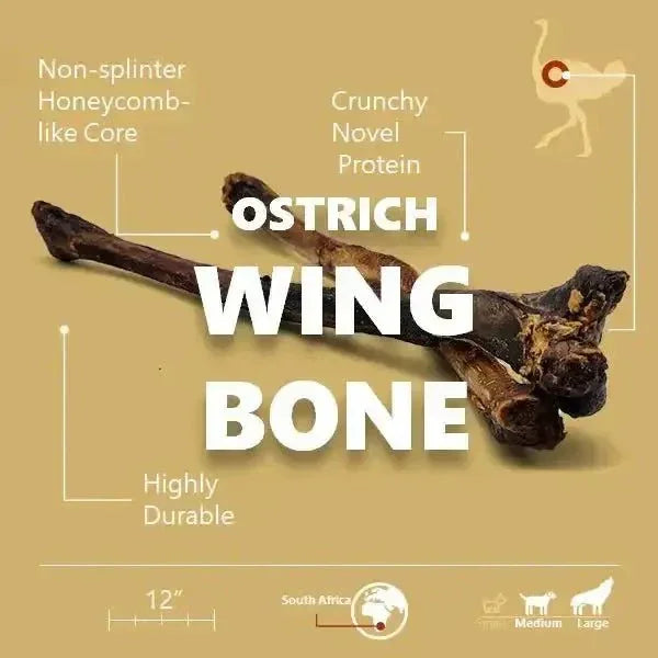 Savannah Splinter - Free Ostrich Wing Bone. Long - lasting, Natural Dog Gnaw Treat - Talis Us