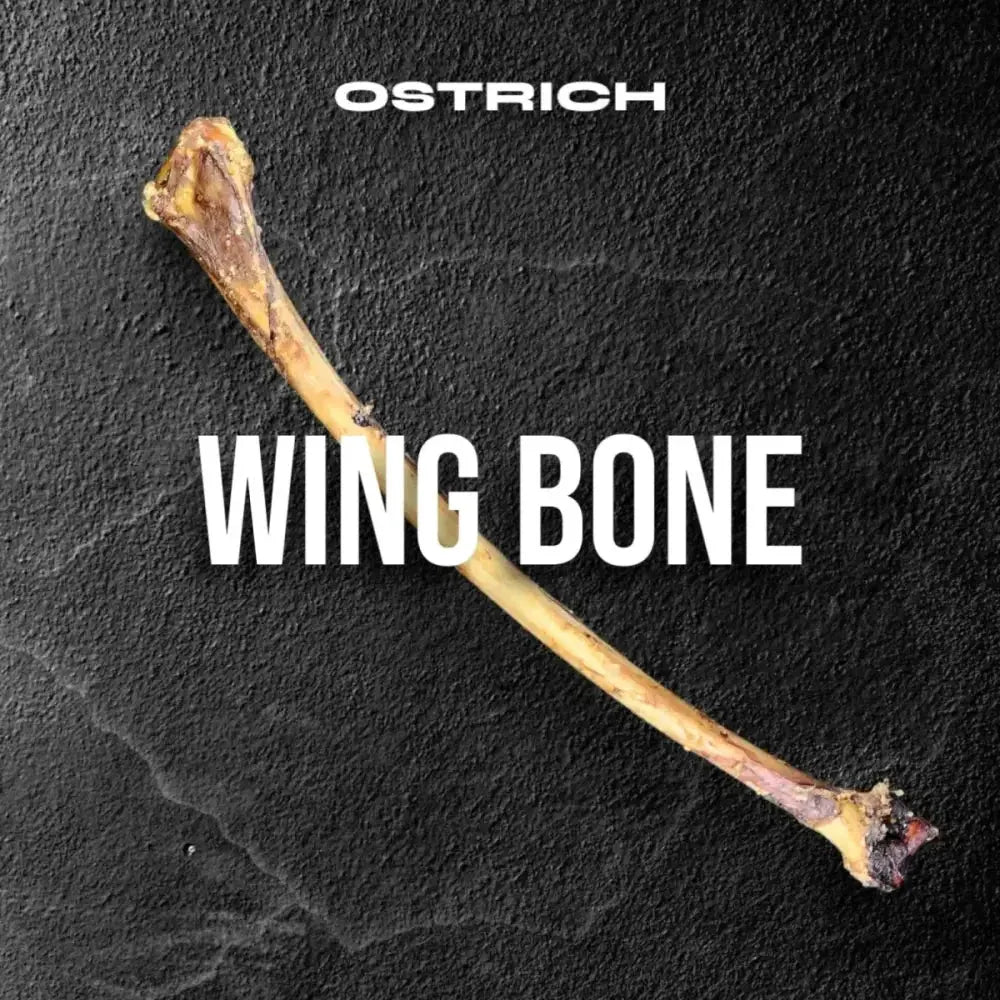 Savannah Splinter - Free Ostrich Wing Bone. Long - lasting, Natural Dog Gnaw Treat - Talis Us
