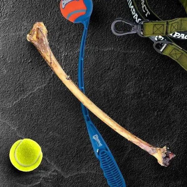 Savannah Splinter - Free Ostrich Wing Bone. Long - lasting, Natural Dog Gnaw Treat - Talis Us