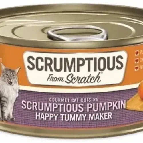 Scrumptious From Scratch Pumpkin Puree Pack Wet Cat Food 12/2.8oz - Talis Us