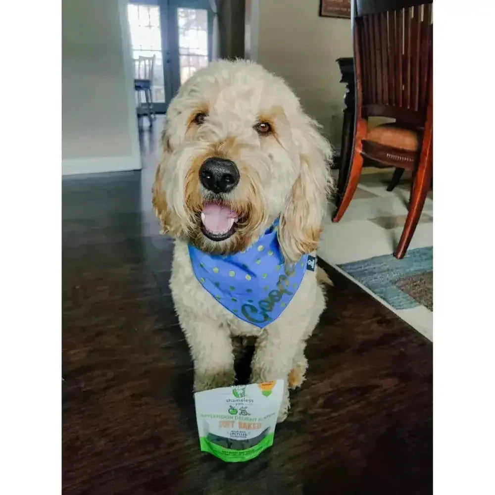 Shameless Pets Applenoon Delight Soft Baked Dog Treats - Talis Us