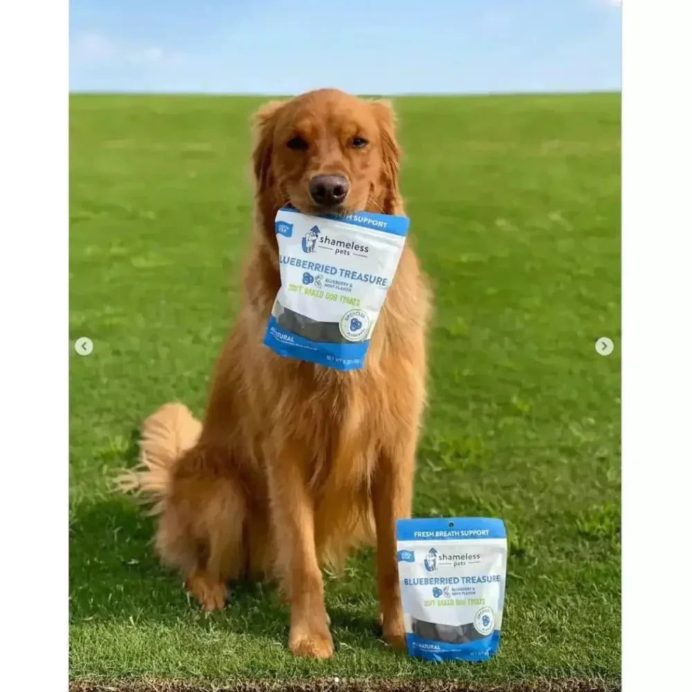 Shameless Pets Blueberried Treasure Soft Baked Dog Treats - Talis Us