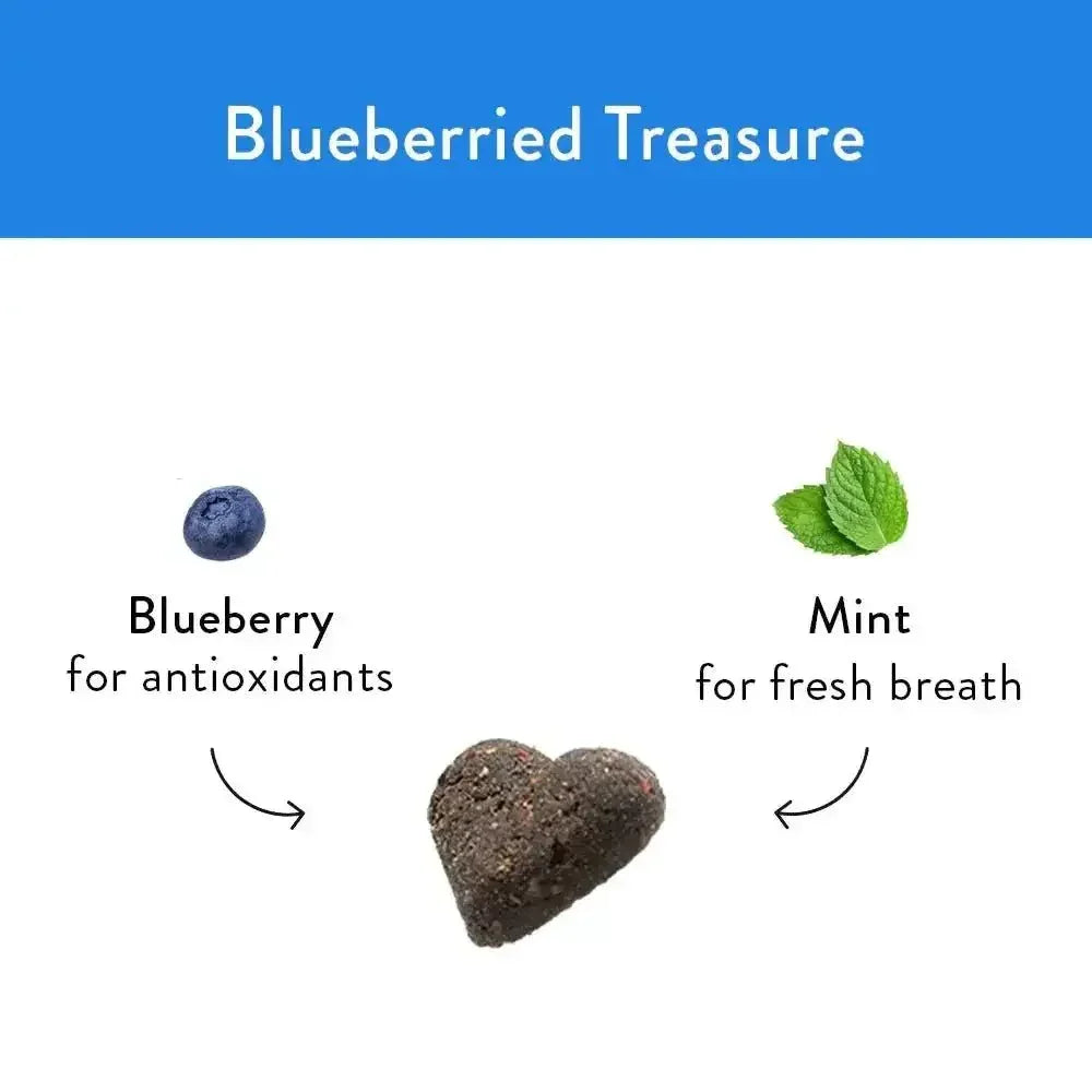 Shameless Pets Blueberried Treasure Soft Baked Dog Treats - Talis Us