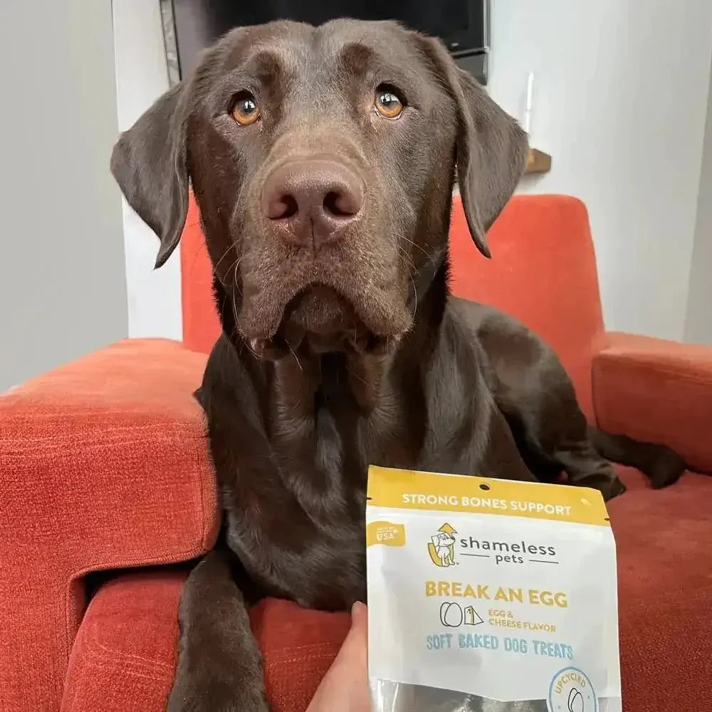 Shameless Pets Break an Egg Soft Baked Dog Treats - Talis Us