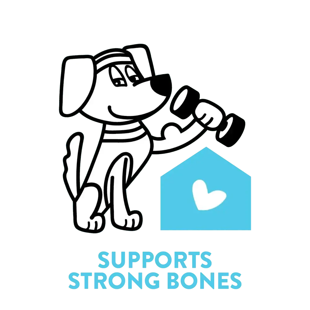 Shameless Pets Break an Egg Soft Baked Dog Treats - Talis Us