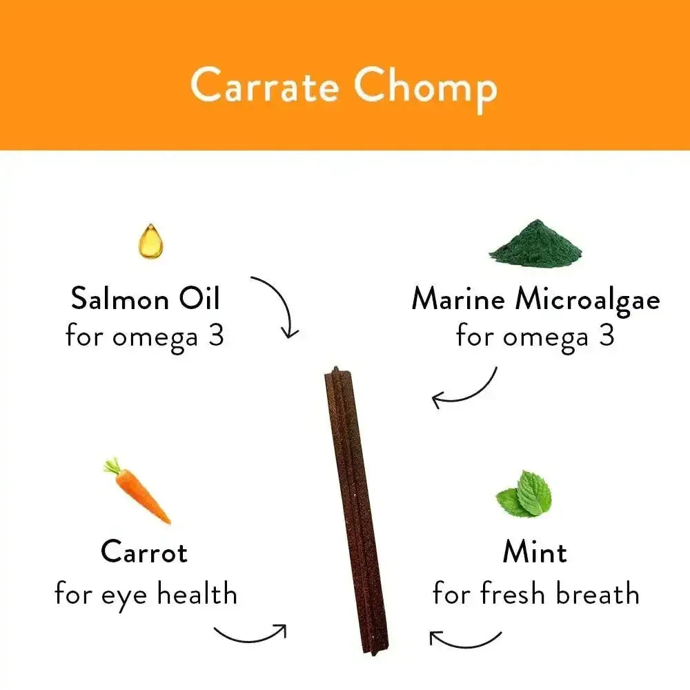 Shameless Pets Carrate Chomp Dental Sticks Dog Treats - Talis Us