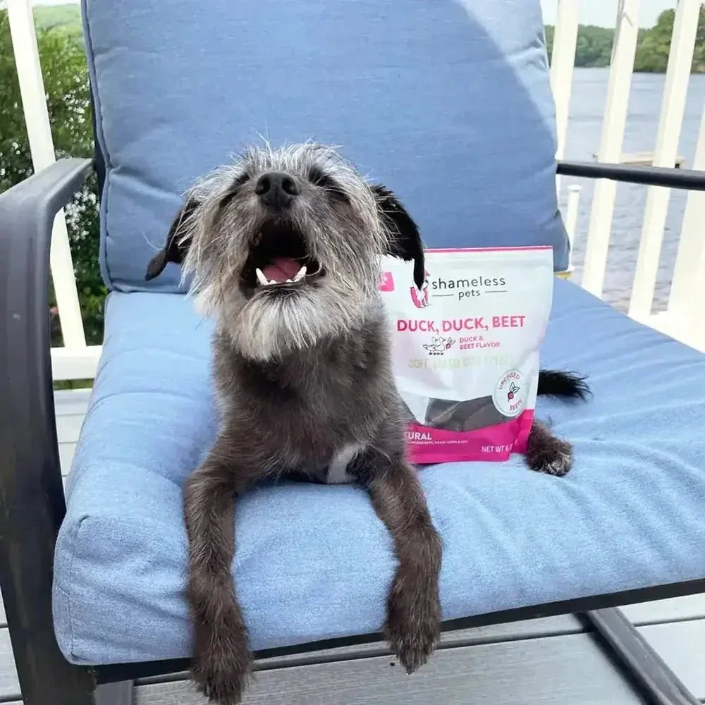 Shameless Pets Duck Duck Beet Soft Baked Dog Treats - Talis Us