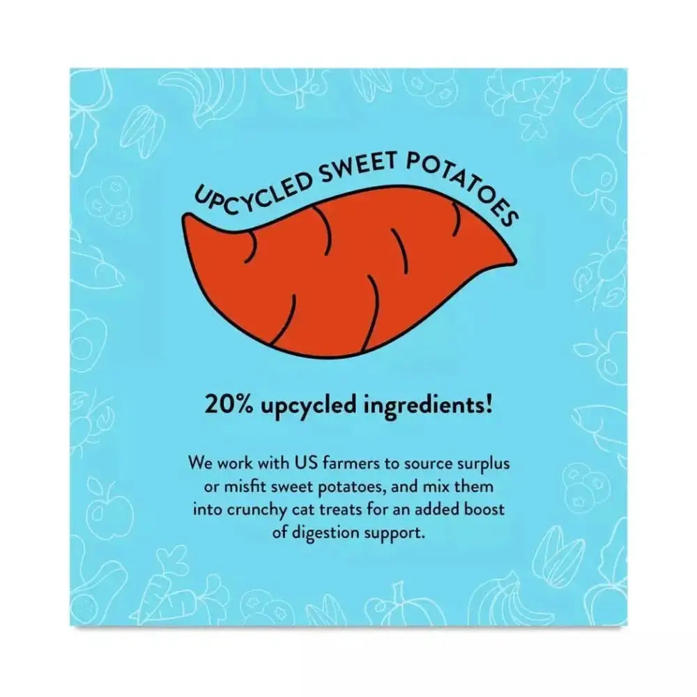 Shameless Pets Fintastic Catnip Crunchy Cat Treats 2.5oz - Talis Us