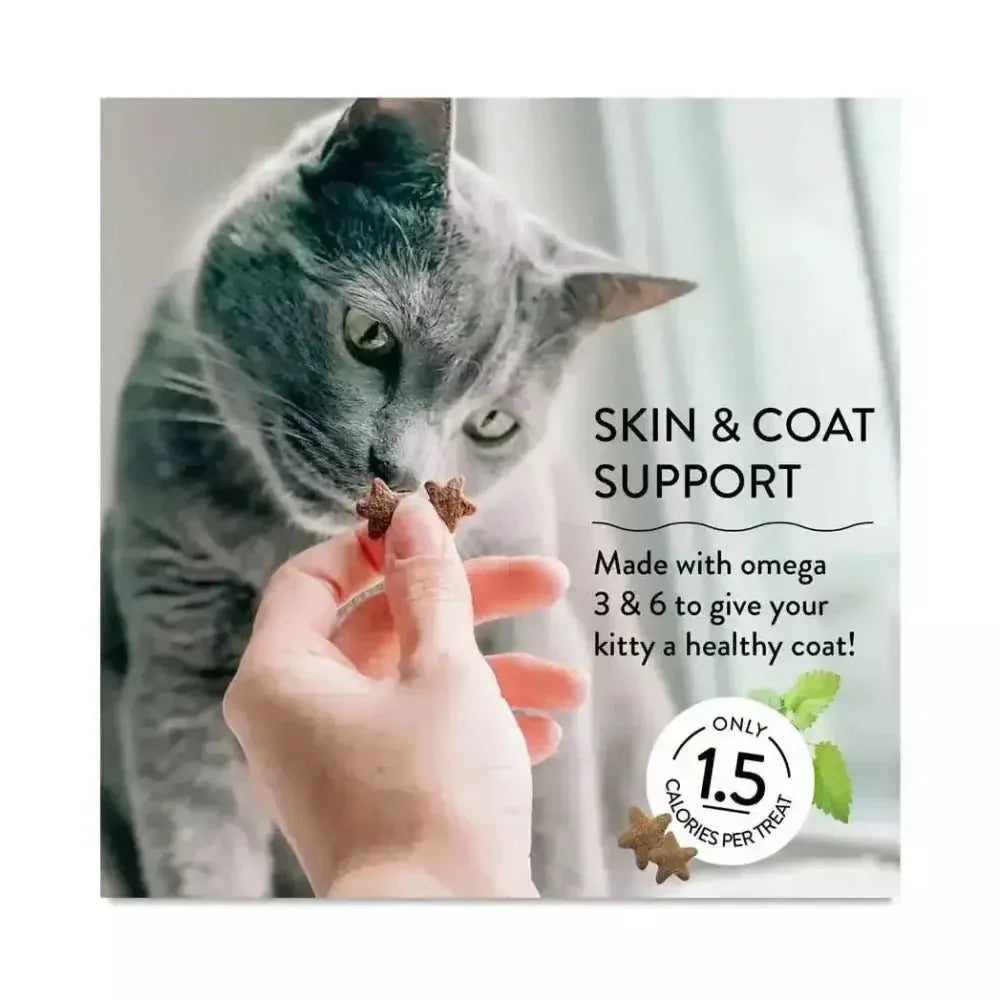 Shameless Pets Fintastic Catnip Crunchy Cat Treats 2.5oz - Talis Us