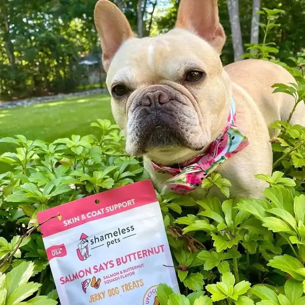 Shameless Pets Jerky Bite Dog Treats 5 oz - Talis Us