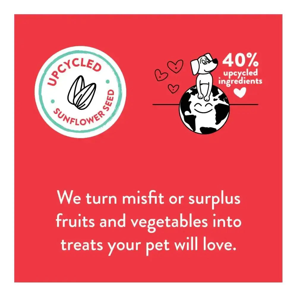 Shameless Pets Lobster Rollover Soft Baked Dog Treats - Talis Us