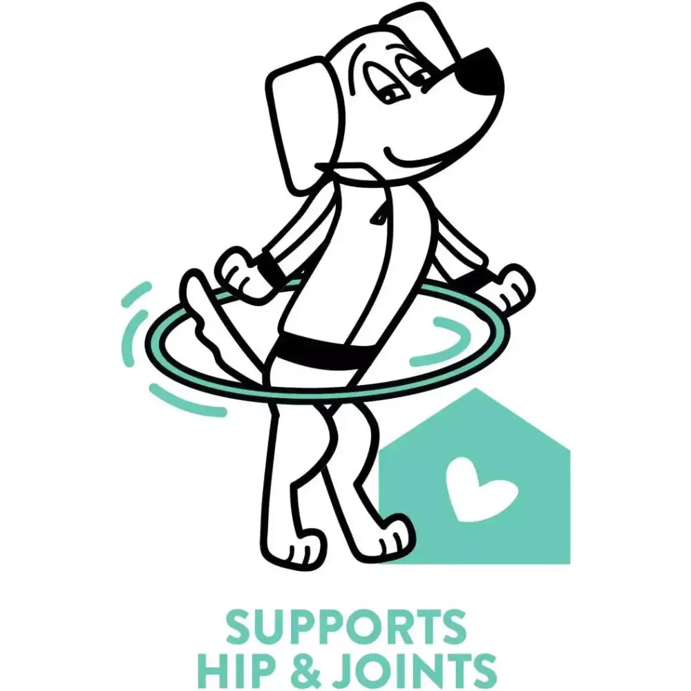 Shameless Pets Lobster Rollover Soft Baked Dog Treats - Talis Us