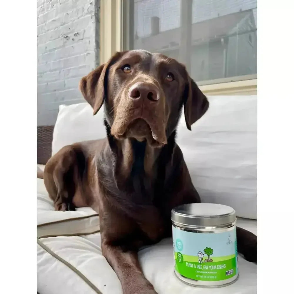 Shameless Pets Plant A Tree, Eat Your Greens Crunchy Dog Treats - Talis Us