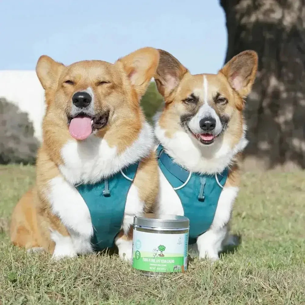 Shameless Pets Plant A Tree, Eat Your Greens Crunchy Dog Treats - Talis Us