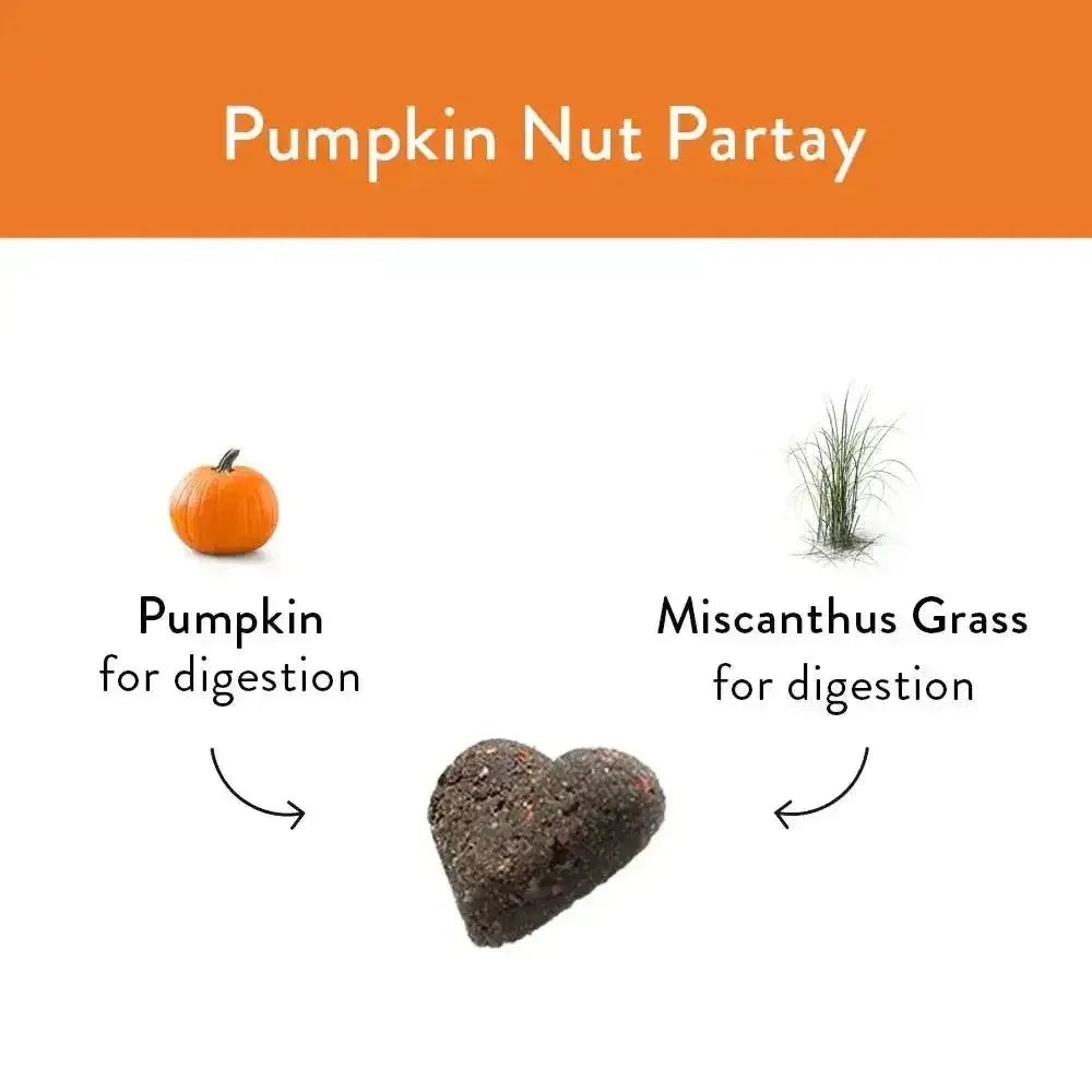 Shameless Pets Pumpkin Nut Par - tay Soft Baked Dog Treats - Talis Us