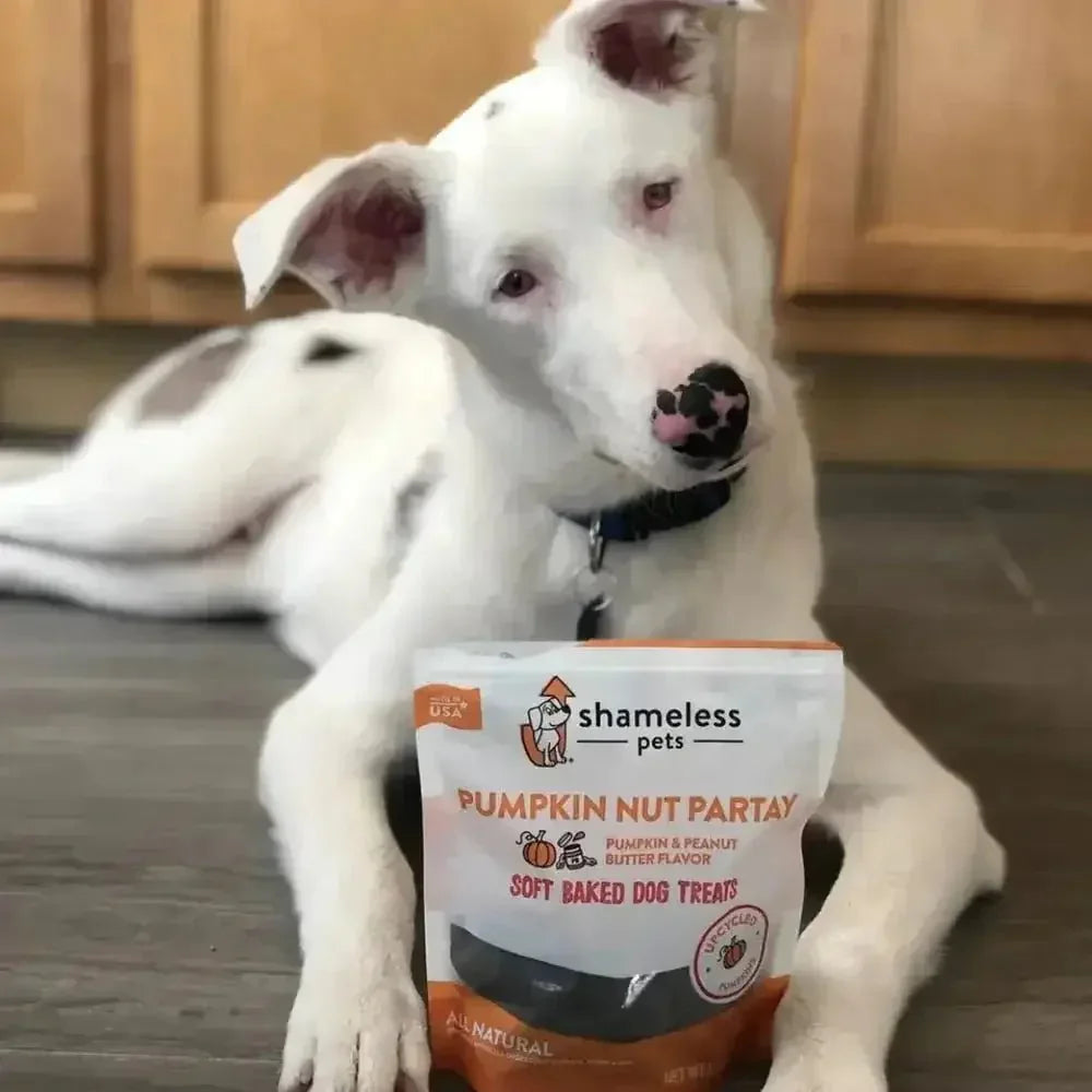 Shameless Pets Pumpkin Nut Par - tay Soft Baked Dog Treats - Talis Us
