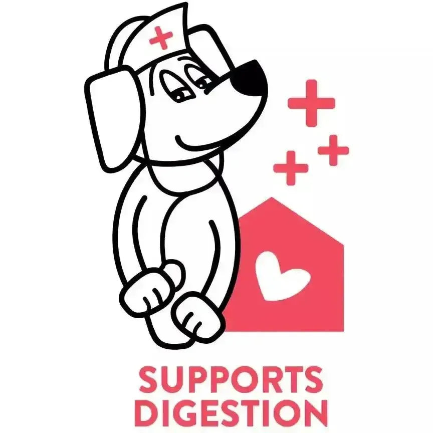 Shameless Pets Pumpkin Nut Par - tay Soft Baked Dog Treats - Talis Us