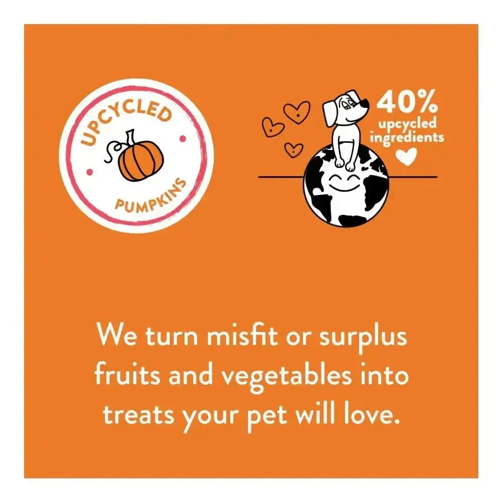 Shameless Pets Pumpkin Nut Par - tay Soft Baked Dog Treats - Talis Us
