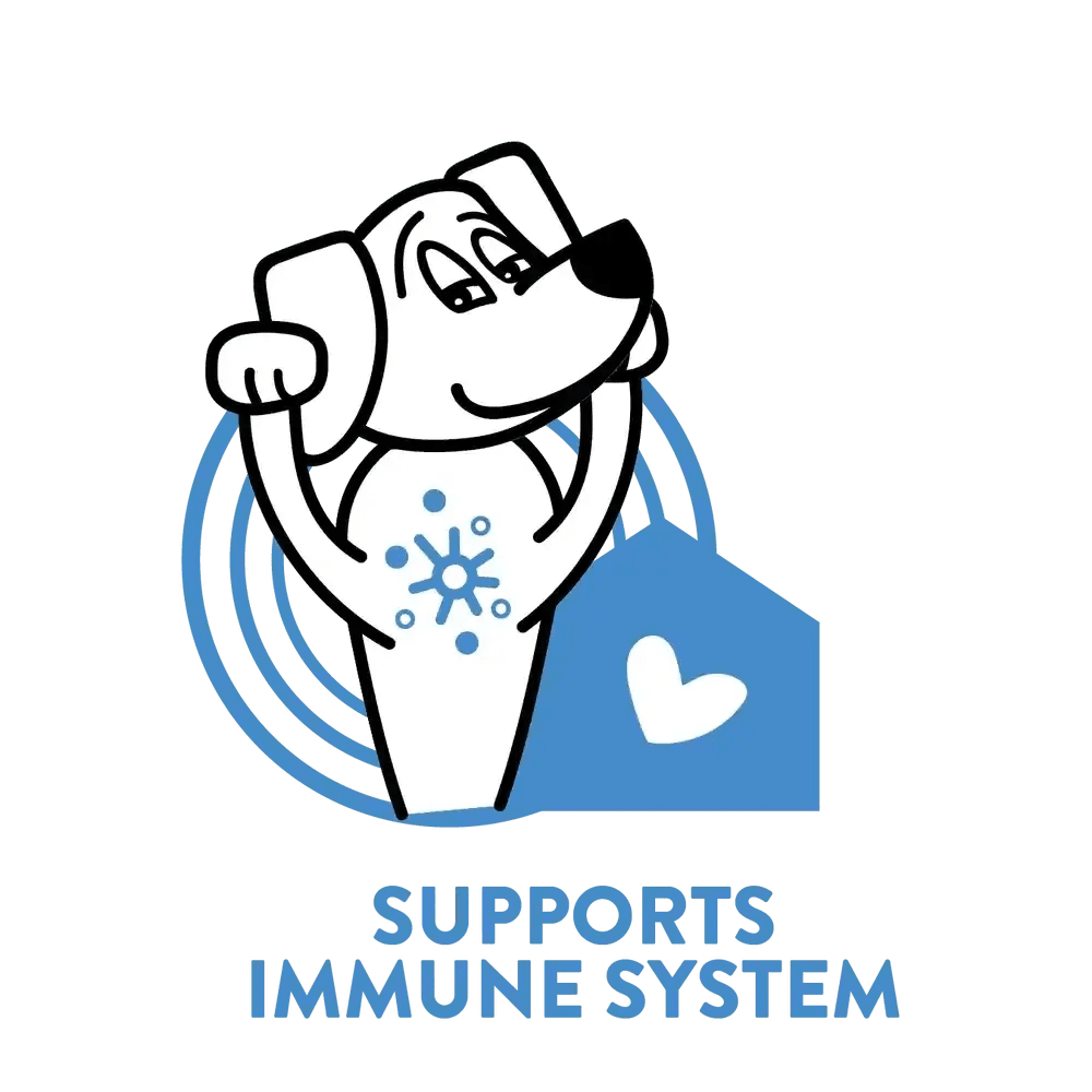 Shameless Pets The Tooth Berry Dental Sticks Dog Treats - Talis Us