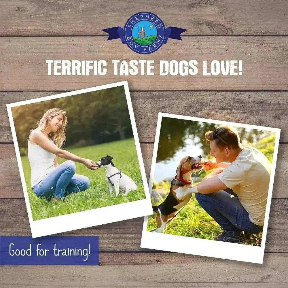 Shepherd Boy Farms Freeze Dried Minnow Dog Treats - Talis Us