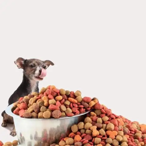 A shiny silver bowl overflowing with colorful, textured kibble.