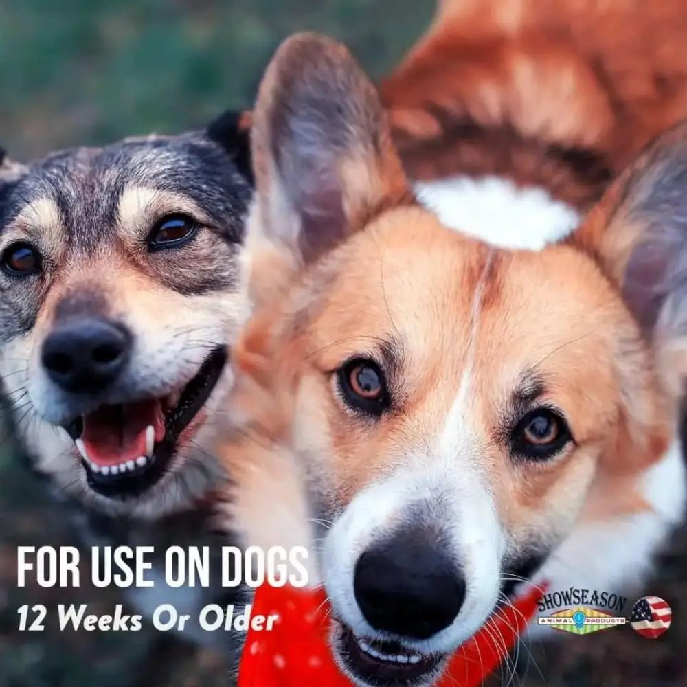 Showseason Spring Rain Dog Cologne - Talis Us