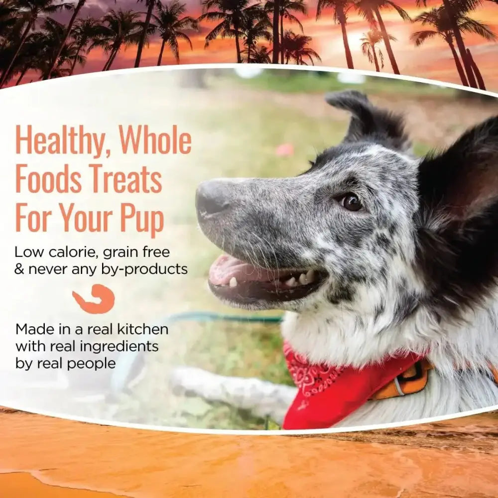 Smart Cookie Shrimp & Coconut Grain - Free Soft & Chewy Dog Treats 5oz - Talis Us