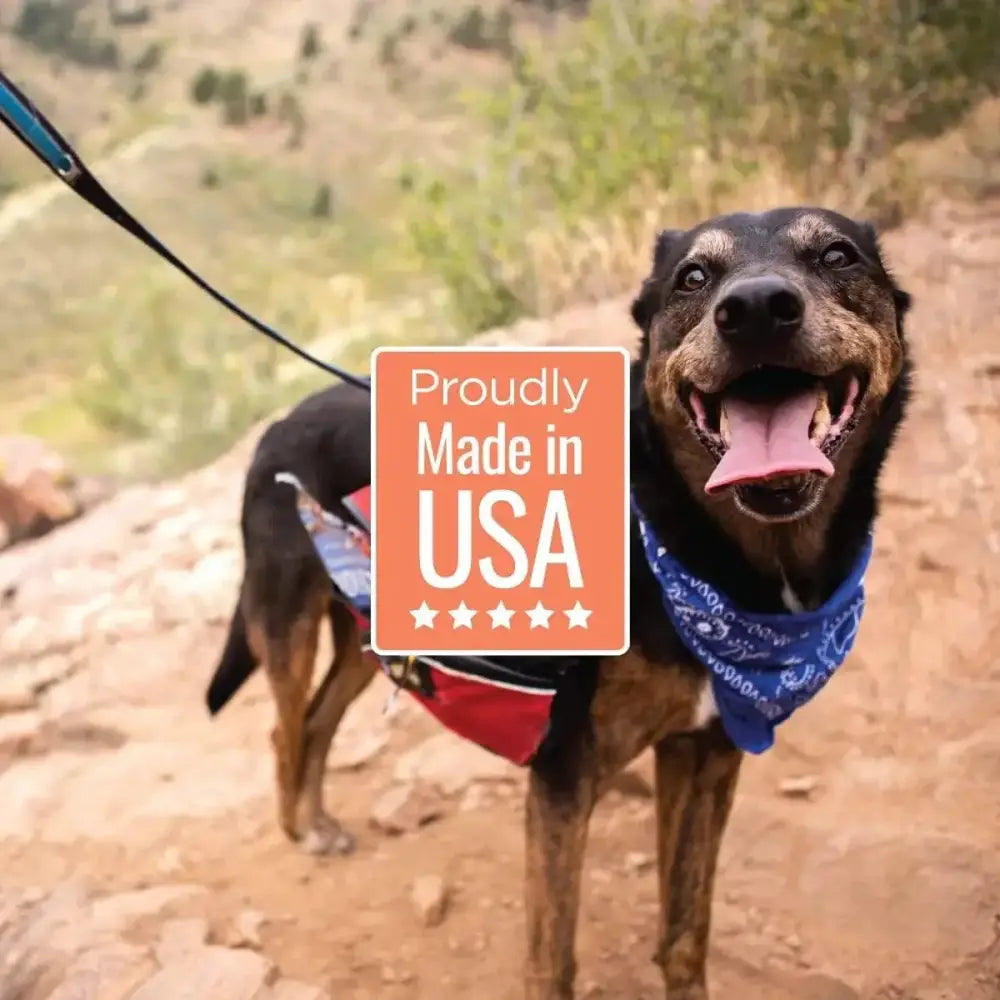 Smart Cookie Shrimp & Coconut Grain - Free Soft & Chewy Dog Treats 5oz - Talis Us